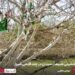 دلنشینی طبیعت سیدان در چند قدمی شیراز 12 دلنشینی طبیعت سیدان در چند قدمی شیراز