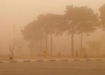 تخصیص ۳۲۰ میلیارد تومان اعتبار برای مقابله با گرد و غبار