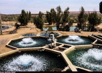 ارز آوری ۱.۵ میلیون دلاری خاویار در استان