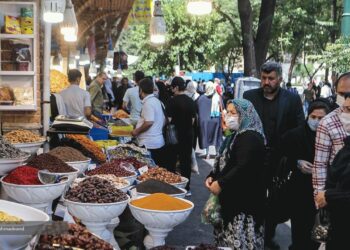 دستگاه‌های نظارتی جرأت نمی‌کنند عوامل پشت‌ پرده گرانی‌ها را به رئیس‌جمهور معرفی کنند