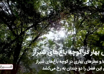 رقص بهار در کوچه باغهای شیراز 3 رقص بهار در کوچه باغهای شیراز