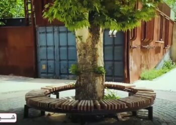 حال و هوای عابران و احساس خوبی که از قدم زدن در بهار مصلینژاد دارند 5 حال و هوای عابران و احساس خوبی که از قدم زدن در بهار مصلینژاد دارند