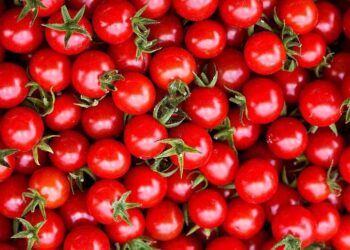 گوجه ممنوع الخروج شد