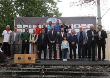 دو مارتن در شیراز