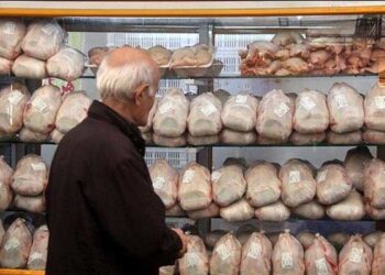 کاهش قیمت مرغ و تخم مرغ در بازار فارس