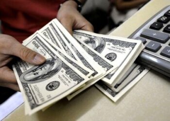 حذف ارز ترجیحی را سیاسی نکنیم 6 ارز