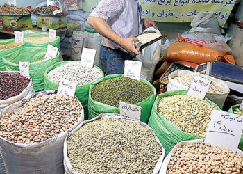 افزایش ۱۲۰ درصدی قیمت حبوبات 3 افزایش ۱۲۰ درصدی قیمت حبوبات