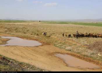 قصه پر غصه چاههای غیر مجاز در استان فارس 1 شیراز تحلیل