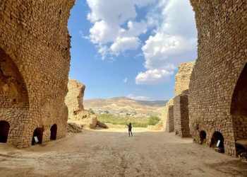 شیراز تحلیل