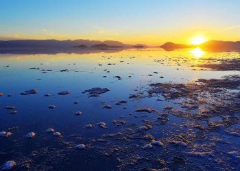 بختگان آبگیری شد 5 بختگان آبگیری شد