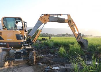 امحای محصولات کشاورزی آبیاری شده با فاضلاب خام در شیراز 2 امحای محصولات کشاورزی آبیاری شده با فاضلاب خام در شیراز