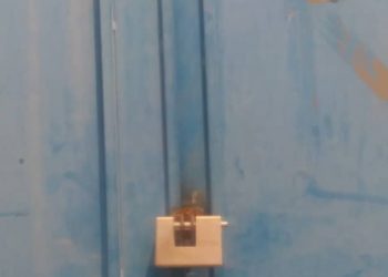 کارخانه تولید کود تقلبی در سروستان پلمپ شد