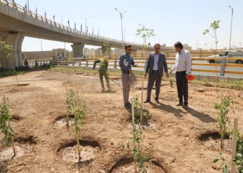 اجرای الگوی کاشت با منظر پردازی کم آب در پروژه مدافعان سلامت 2 اجرای الگوی کاشت با منظر پردازی کم آب در پروژه مدافعان سلامت