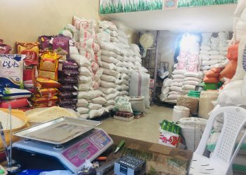 برنج ایرانی در مازندران کیلویی ۸۰ هزار تومان شد