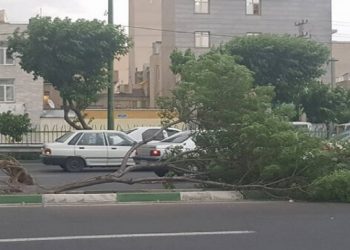 هشدار هواشناسی فارس تندبادهای لحظه‌ای در راه است