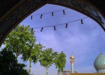 ایمنی نگین سبز شیراز در کانون توجه سازمان آتش نشانی