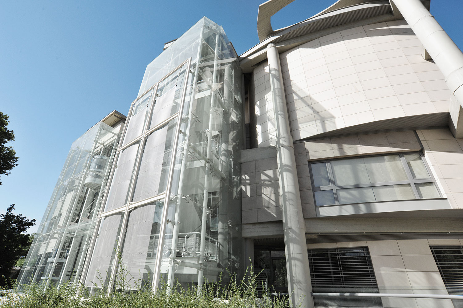 شیراز تحلیل