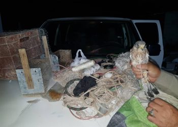 کشف یک بهله پرنده شکاری از فرد متخلف در شهرستان مرودشت 4 کشف یک بهله پرنده شکاری از فرد متخلف در شهرستان مرودشت