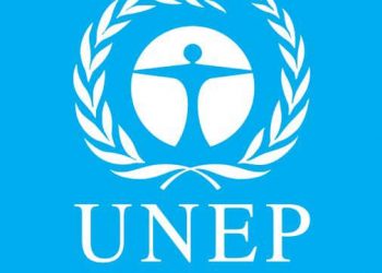 دو دختر نوجوان از استان فارس در جمع برندگان ملی مسابقه هنری UNEP