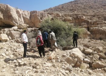 آبشخورهای روستای دهنو زرین دشت بهسازی شد 5 آبشخورهای روستای دهنو زرین دشت بهسازی شد