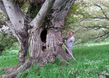 ۹ اثر طبیعی در استان فارس به ثبت ملی رسید