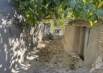 طبیعت بکر روستای قاضی آباد بوانات 8 طبیعت بکر روستای قاضی آباد بوانات
