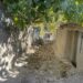 طبیعت بکر روستای قاضی آباد بوانات 12 طبیعت بکر روستای قاضی آباد بوانات
