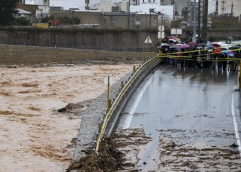 شیراز تحلیل