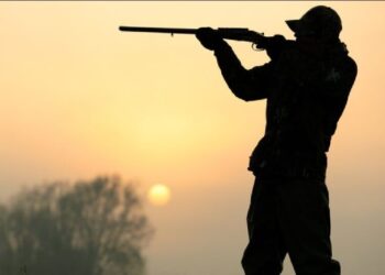 شکارچی متخلف در شهرک آرین شیراز دستگیر شد