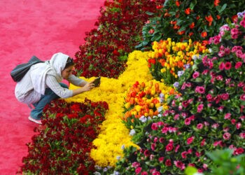 نمایشگاه گل و گیاهان دارویی شیراز 1401 1 نمایشگاه گل و گیاهان دارویی شیراز 1401