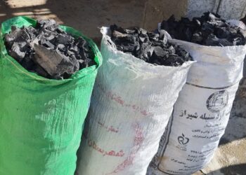 6کوره غیرمجاز زغال معدوم شد 2 6کوره غیرمجاز زغال معدوم شد