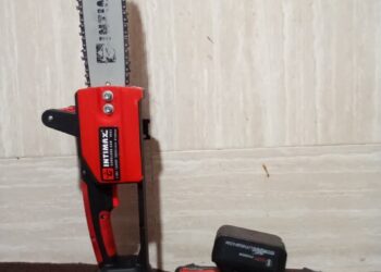 قطع کنندگان درخت در دشت ارژن دستگیر شدند