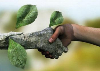 سازمان های مردم نهاد بازوی توانمند محیط زیست