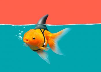 ارزش نوآوری و خلاقیت در روابط عمومیها 1 روابط عمومی شیراز تحلیل