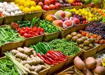 فارس پایلوت صادرات محصولات کشاورزی می شود