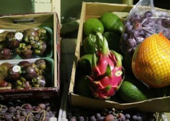 میوه های قاچاق به مقصد نرسید