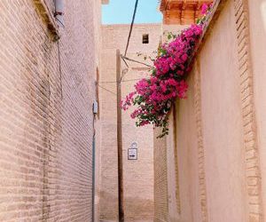 در بافت تاریخی شیراز 410 اثر ثبتی، 2 هزار اثر واجد ارزش قرار دارد 1 در بافت تاریخی شیراز 410 اثر ثبتی، 2 هزار اثر واجد ارزش قرار دارد