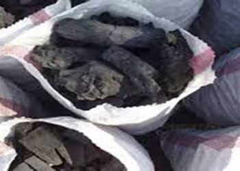 امحا کوره زغال در سپیدان فارس 1 امحا کوره زغال در سپیدان فارس