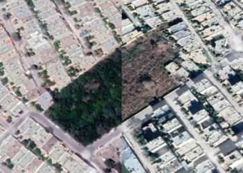 حرف و حدیث ها درباره نابودی باغ ناصری شیراز