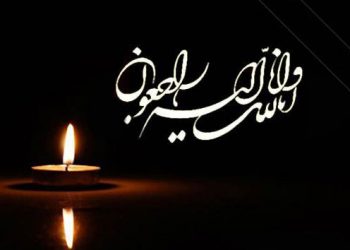 پیام تسلیت حزب توسعه ملی ایران شاخه فارس به مناسبت درگذشت دکتر رضا یوسفیان