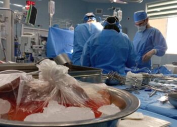 انجام 825 پیوند عضو در بیمارستان ابوعلی سینا شیراز در سال گذشته