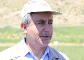 خودکفایی در تولید گندم دنبال می شود