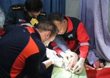 گیرکردن دست داخل چرخ گوشت 3 گیرکردن دست داخل چرخ گوشت