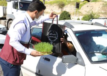 جان دوباره سبزه ها با اجرای طرح از سبزه تا کمپوست 2 جان دوباره سبزه ها با اجرای طرح از سبزه تا کمپوست