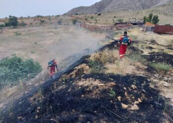 آتش در دامنه کوه دراک مهار شد 3 آتش در دامنه کوه دراک مهار شد