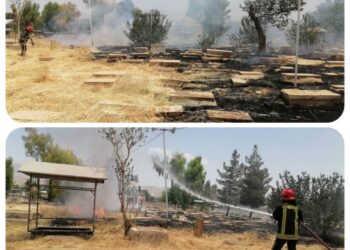 آرامستان تاریخی دارالسلام شیراز طعمه حریق شد 5 آرامستان تاریخی دارالسلام شیراز طعمه حریق شد