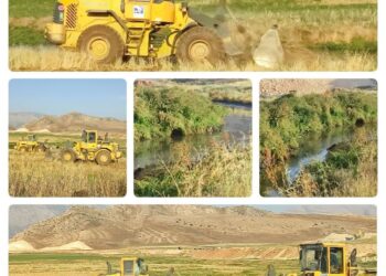 امحا مزارع آبیاری شده با فاضلاب در صدرای شیراز