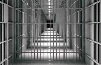 آزادی 200 زندانی جرائم غیر عمد در فارس 1 آزادی 200 زندانی جرائم غیر عمد در فارس