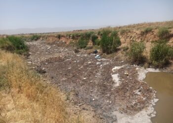 محصول کشتزارهای حاشیه شیراز،سبزیجات با طعم فاضلاب