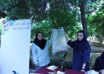 پیاده روی و پاکسازی فیلتر سیگار در باغ ارم شیراز